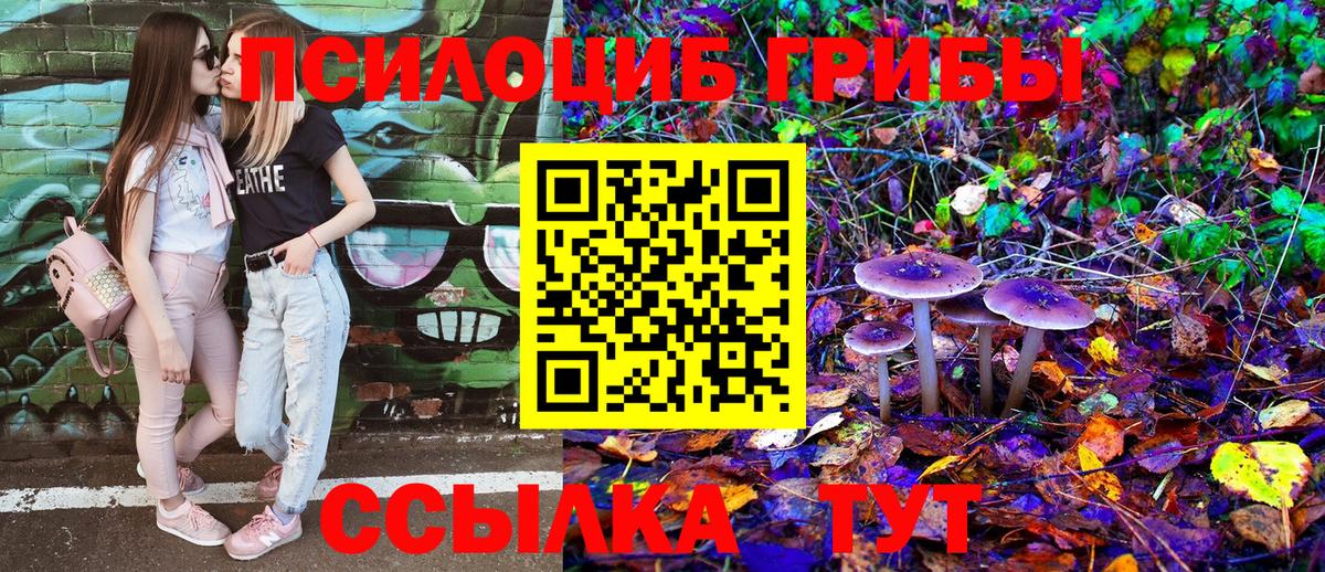 Нижнеудинск  Галлюциногенные грибы Cubensis  Вход с VPN 