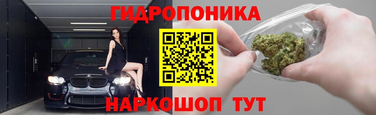 Конопля SATIVA & INDICA  Каннабис AK-47  Шишки марихуана White Widow  Вход с VPN  Нижнеудинск  Канабис ГИДРОПОН 